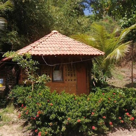 Ecopousada Casa Do Carimbo Fortalezinha Algodoal Zewnętrze zdjęcie