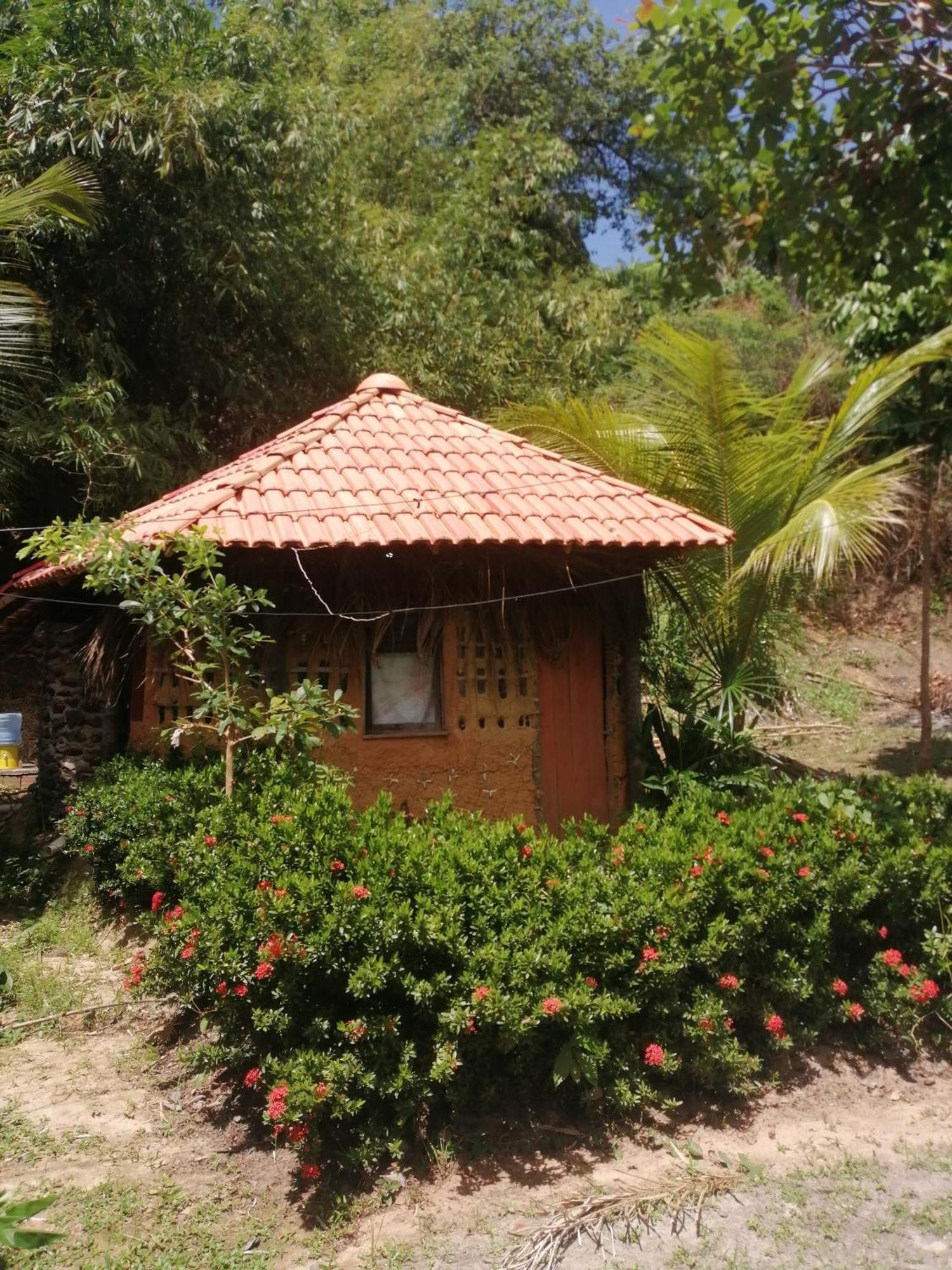 Ecopousada Casa Do Carimbo Fortalezinha Algodoal Zewnętrze zdjęcie